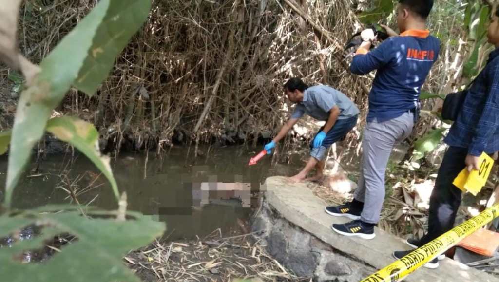 Breaking News, Mayat Pria Ditemukan Mengambang di Parit Tambakrejo&nbsp;Pasuruan